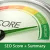 seo-score
